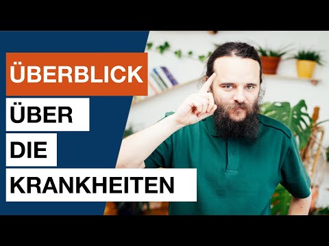 Überblick über die Krankheiten (diesmal funktioniert es) - Heilpraktiker für Psychotherapie