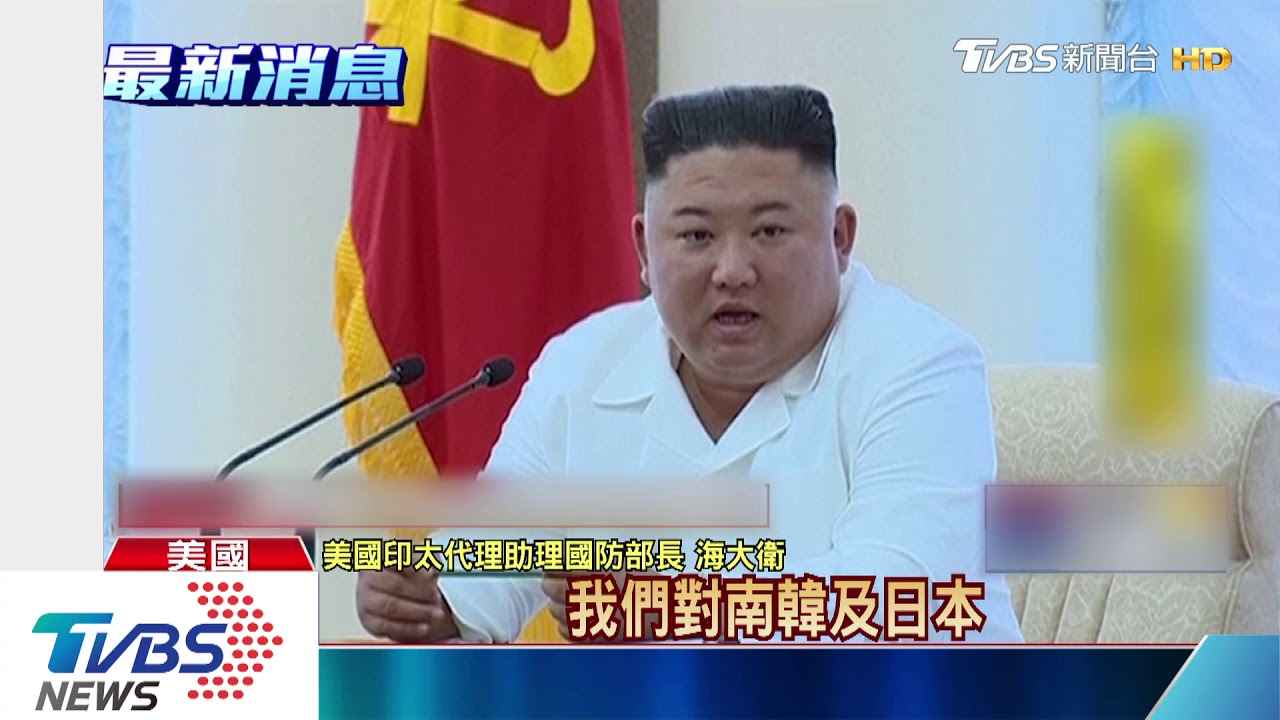 金氏兄妹一黑一白 前CIA成員:替川普助選