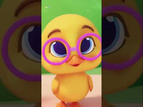 Duck baby with mother