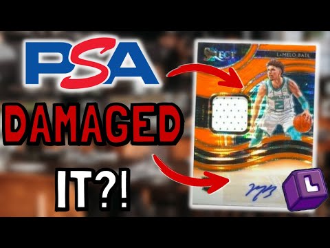 New PSA feature highlights a HUGE error? 🚨
