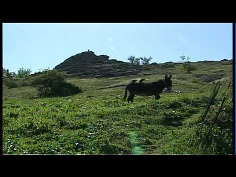 Camena Tulcea Romania Camina