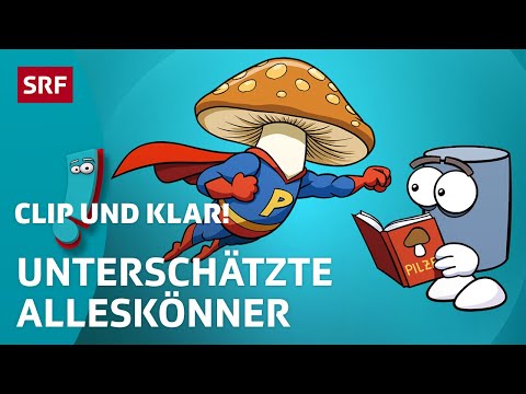 Pilze: Die geheimen Superhelden der Natur | SRF Kids – Clip und klar! | Für Kinder erklärt