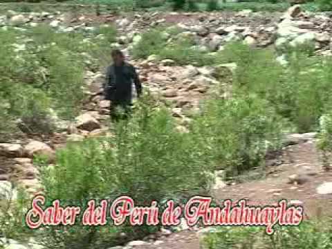 Popurri carnaval Andahuaylino-Saber del Perú de Andahuaylas y Alejandro Vivanco