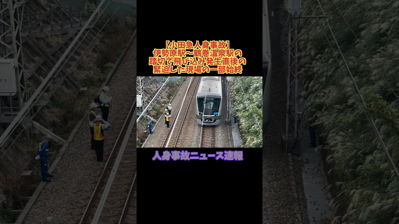 【小田急人身事故】伊勢原駅〜鶴巻温泉駅の踏切で飛び込み発生直後の緊迫した現場の一部始終 #鉄道 #shorts #小田急線