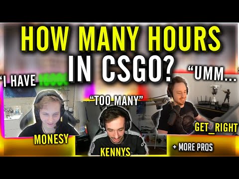 CS:GO Pros Answer: How Many Hours Do You Have?