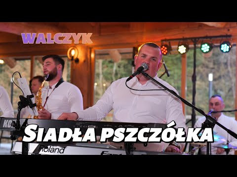 Zespół MUZYKANCI - Walczyk "Siadła pszczółka" (Video 2025)