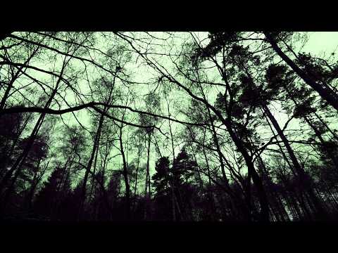 SHORES OF PANGEA – Uti Gröna Lunden [Music Video]