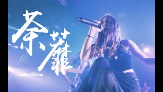 Download lagu 恕 SOLEMN -【荼蘼 The Last Blossom】 Live in TAKAO ROCK 2018 mp3