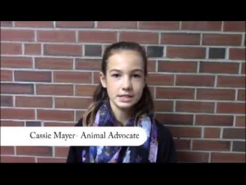 Gentle Jungle Pet Store