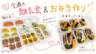 今週の離乳食&お弁当ストック作り/vlog/生後9ヶ月