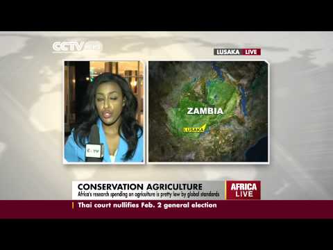 African states Urged to Adopt conservation-agriculture practice