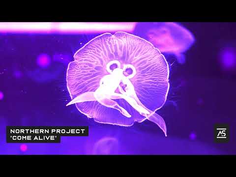 Northern Project  - Come Alive [Addictive Sounds]