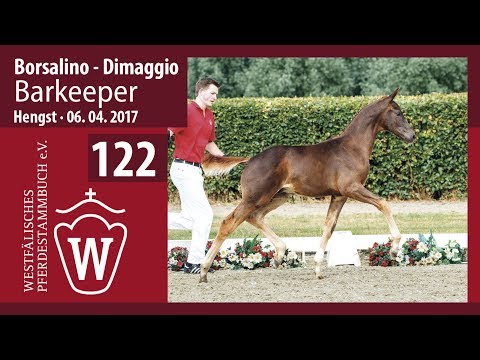 122 Barkeeper  Hengst v. Borsalino  - Dimaggio