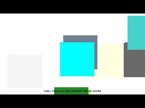 Video #sftp-gcs-pkg-20210809-160127-613499