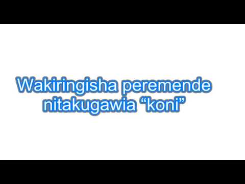 SHOW ME HARMONIZE & RICH MAVOKO LYRICS