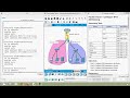12 6 6 Packet Tracer Configure IPv6 Addressing