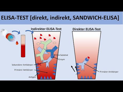 ELISA Test [direkt, indirekt, SANDWICH-ELISA] - [Biologie, Immunbiologie]