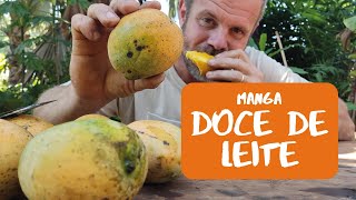 Miniatura do vídeo