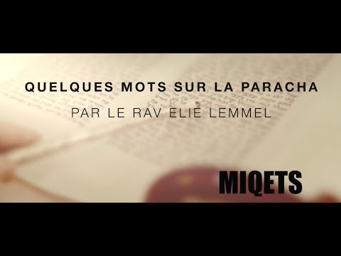 Une exigence fondamentale ! - Rav Élie Lemmel - Parasha Miqets