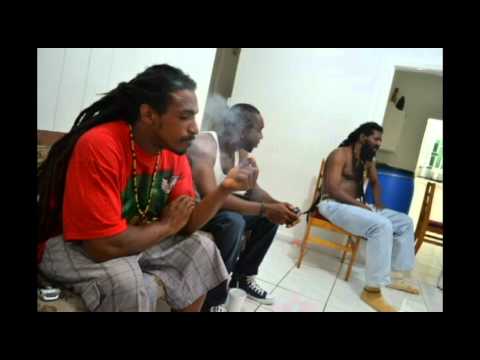 Green trees grow by FYA BRYTE