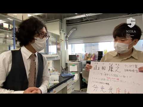 教育学科 【立教・理・生命】山田康之研究室