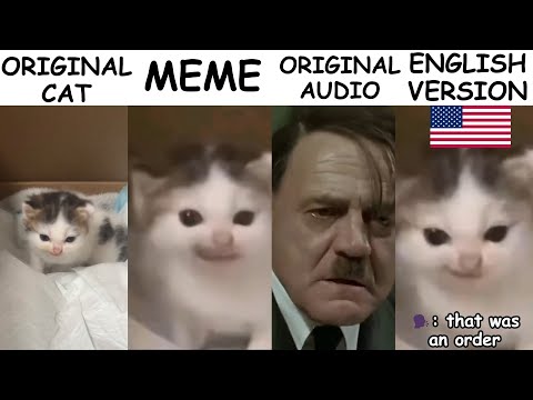 German Cat Original vs Meme Vs Original audio☠️ Vs English version🦅