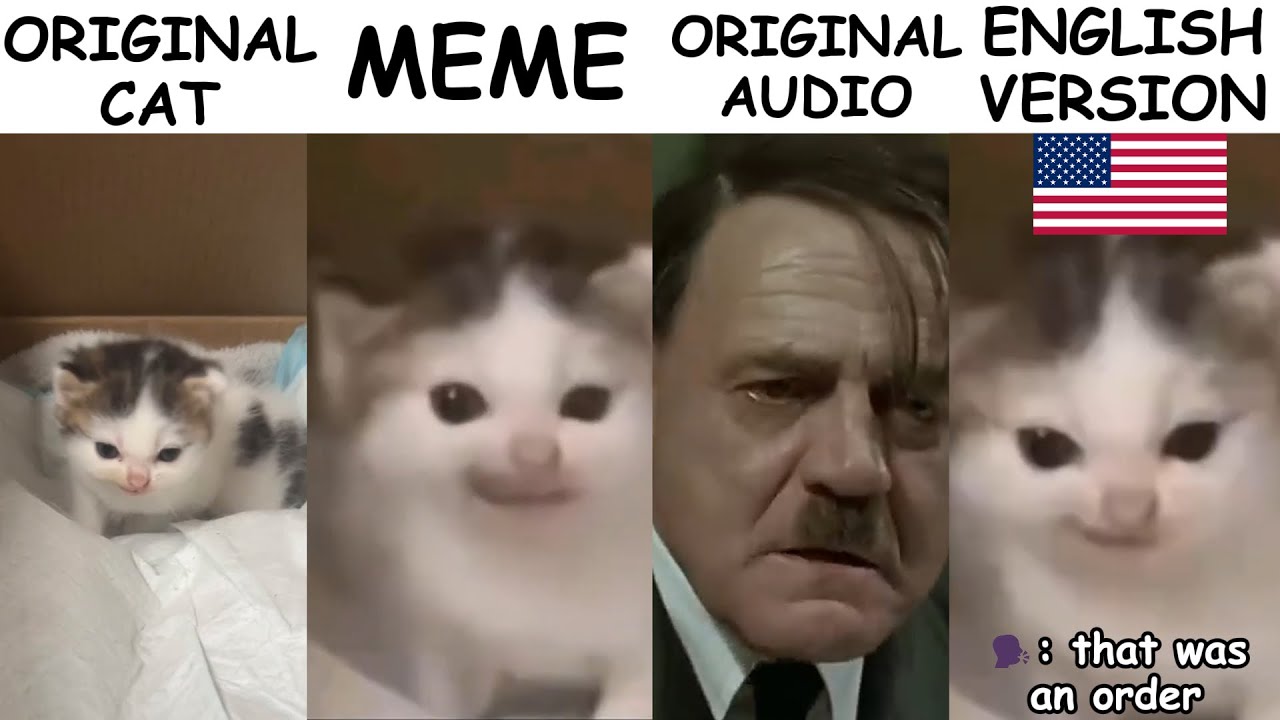 German Cat Original vs Meme Vs Original audio☠️ Vs English version🦅