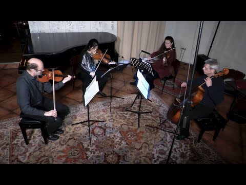 „Sweet Home Lounge“ . Große Interpreten . Quatuor Avium