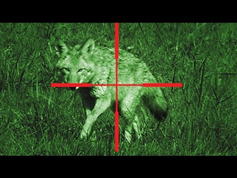 ATN's Smart X-Sight HD Day/Night Scope With WiFi