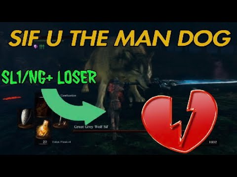 Dark Souls 1 - Great Grey Wolf Sif - SL1/NG+ / NO HIT - EASY GAME