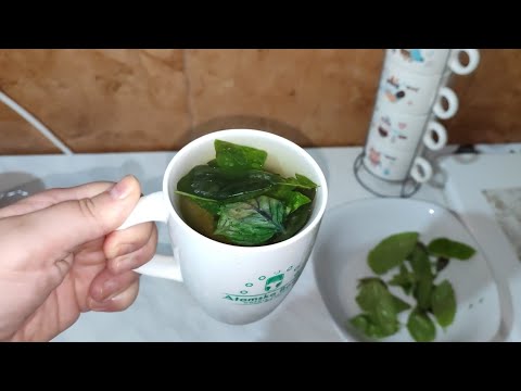 ČAJ OD BOSILJKA JE DAR OD BOGA I LEK ZA MNOGE BOLESTI! OVAKO SE PRIPREMA!