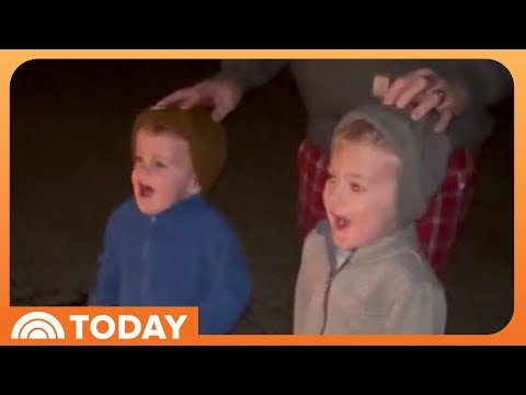 Kids Have the Best Reaction to Dad’s Epic Holiday Lights Display