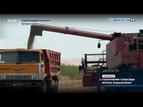 O‘zbekiston 24 telekanlida namoyish qilingan lavhada “O‘zagrolizing” AJ tomonidan “SCT CLUSTER SHOLI” MCHJ ga lizingga berilgan texnikalar to‘g‘risida so‘z bordi.