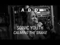 Sonic Youth - Calming the Snake - A-D-D