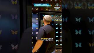 Ovation of the Seas - "Borboletas Interativas" Obra de arte a bordo do navio | #shorts #cruzeiros
