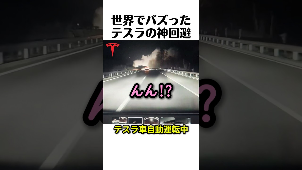 世界でバズったテスラの神回避