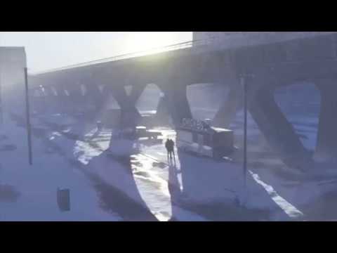 hank and connor's bromance