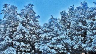 Rosanne Cash   &quot;Girl from the North Country&quot;