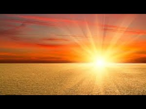 Filip Müller Sonderkommando Auschwitz