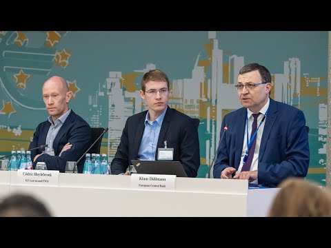 2024 ECB Annual Banking Supervision Research Conference Session 2 - Paper 4