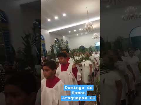 Celebração Domingo de Ramos em cidade de Goiás, Araguapaz
