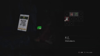 瑠璃の実況プレイ　バイオハザードRE2
