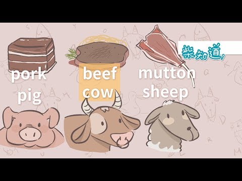 为什么牛肉叫 beef 而不是 cowmeat？Why is beef called beef...