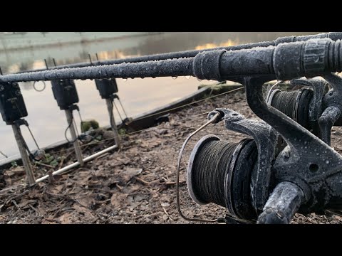 Estate Lake Carp Fishing 2023 - Blanking Retribution?