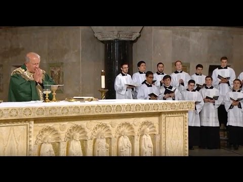 The Sunday Mass - 3rd Sunday Ordinary Time  - January 22, 2017