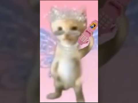 ayayay I'ma little butterfly