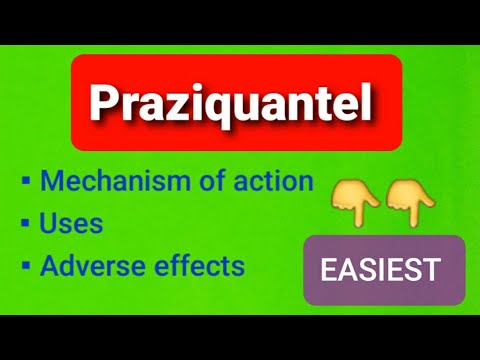 Praziquantel 600mg tablets