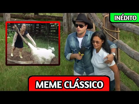 PÂNICO FOI ATRÁS DA MULHER QUE VIROU MEME AO LEVAR COICE DA VACA!