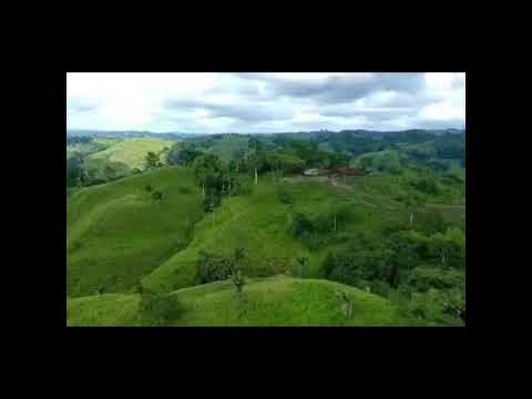 FINCA 84 HECTARES MANABI