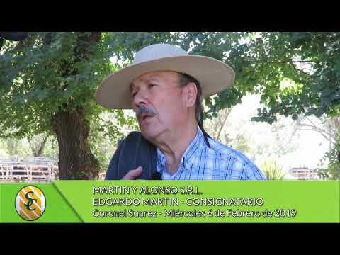 06-02-19 - Edgardo Martin - Martín y Alonso S.R.L  - Coronel Suarez